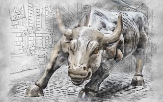 bull little money